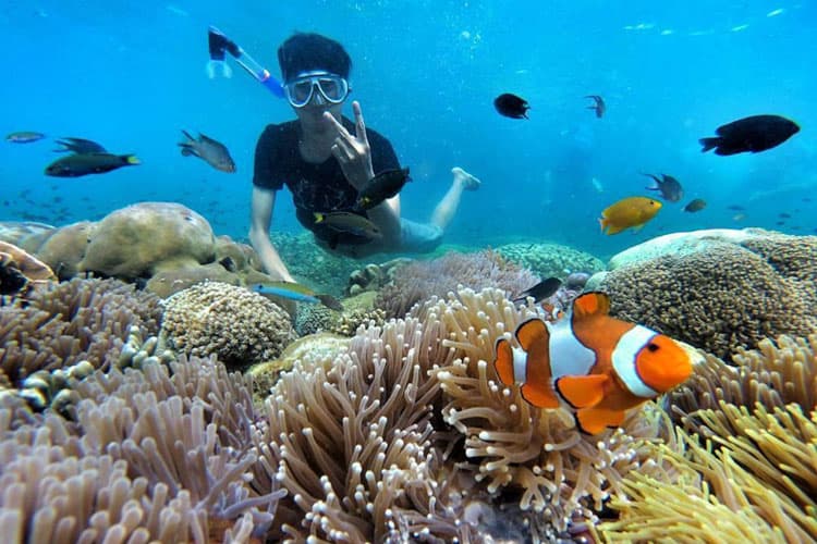 Keindahan Bawah Laut Gili Ketapang, Destinasi Snorkeling Favorit di Probolinggo