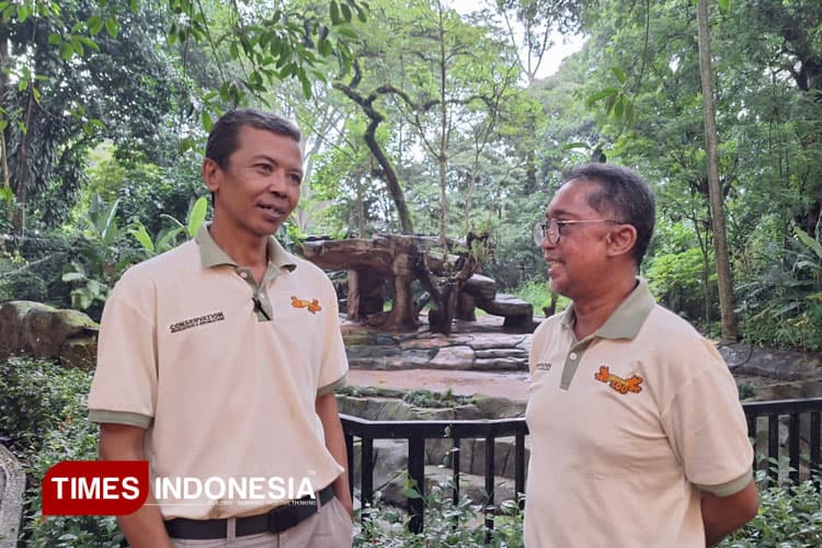 Hadapi Dinamika Kepengurusan, Bandung Zoo Minta Dukungan Pemkot untuk Solusi Legalitas
