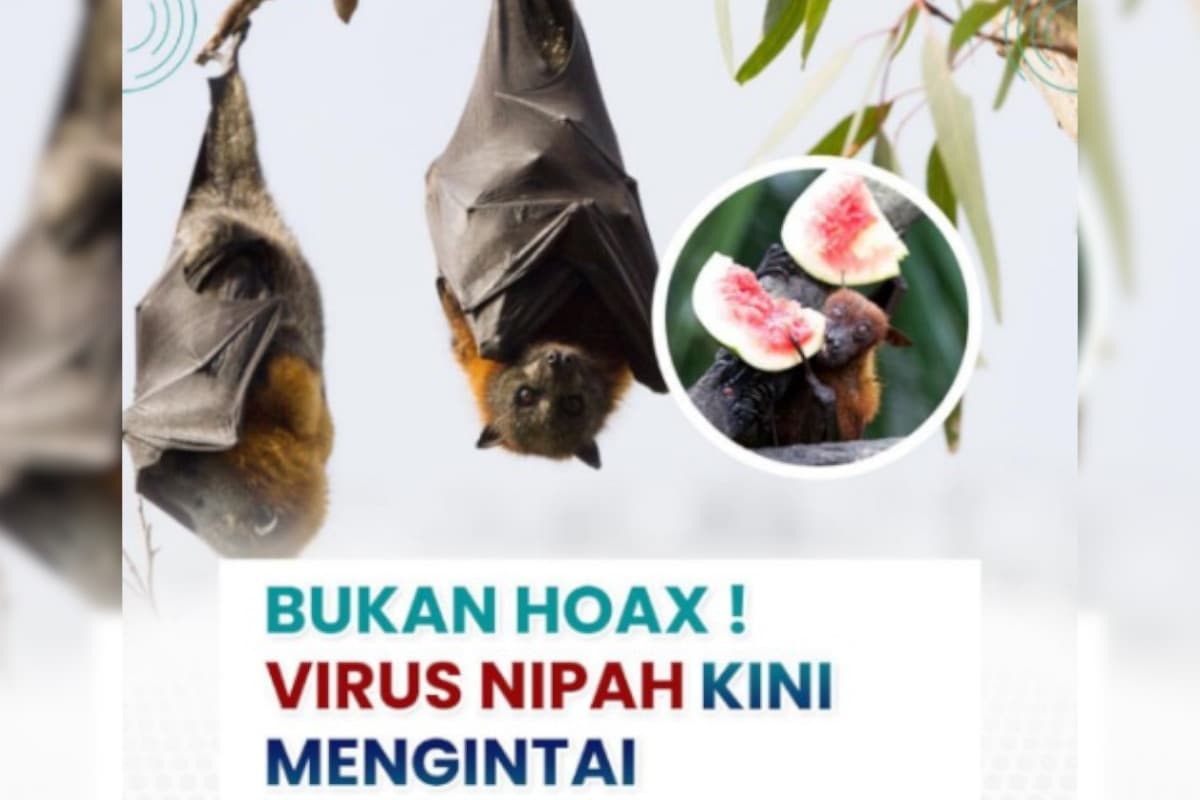 RSUD Pandega Pangandaran Imbau Masyarakat Tetap Waspadai Virus Nipah