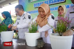 Lawan DBD, Probolinggo Andalkan Lavender: dari Usir Nyamuk hingga Jadi Spot Wisata